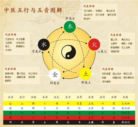 五行学|中医五行学